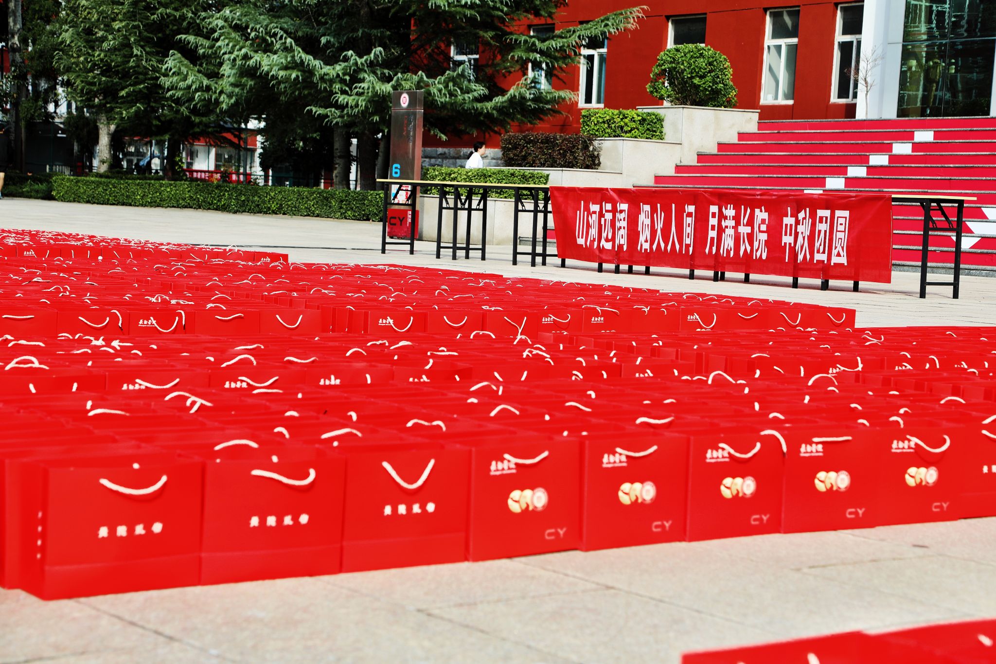 贝林厄姆2025俱乐部世界杯直播平台
